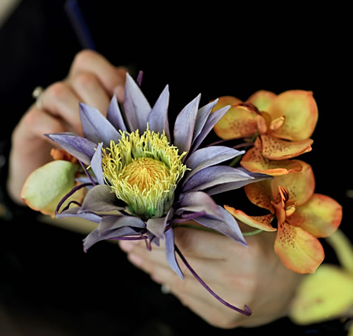 Ассортимент